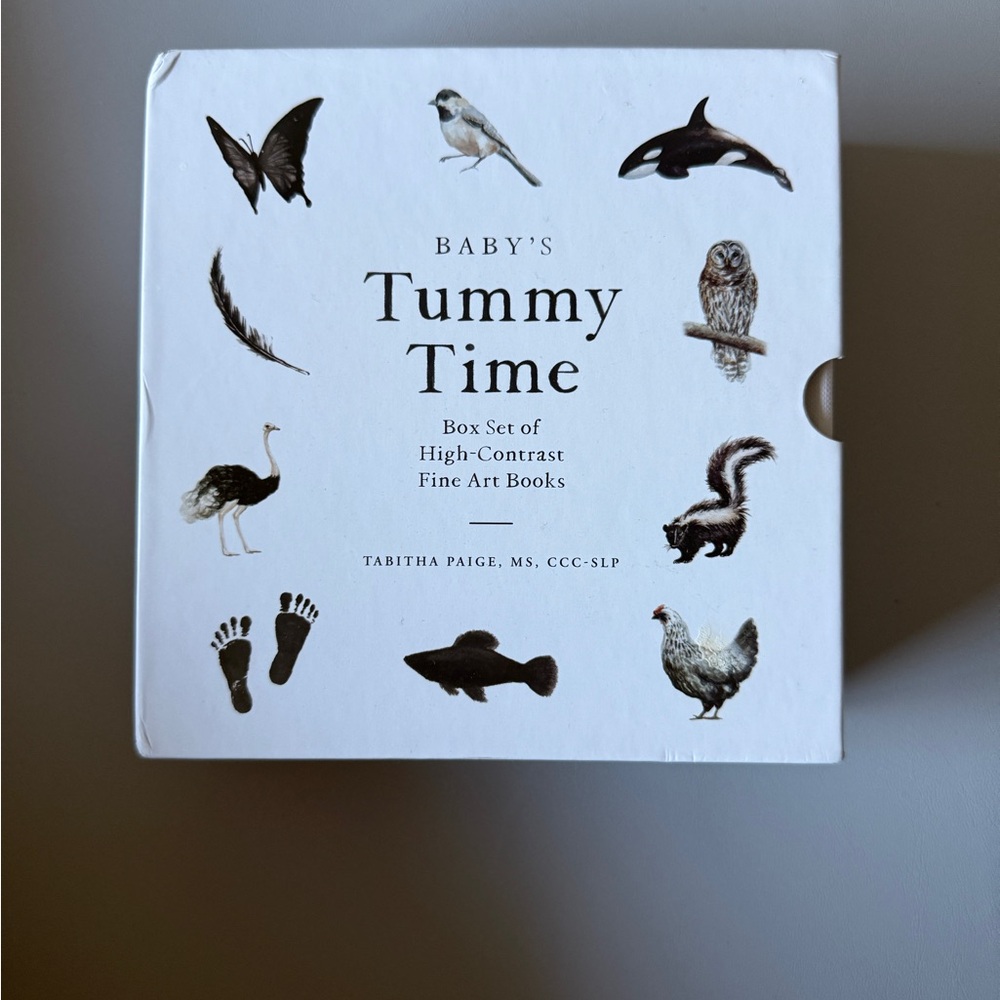 Baby's Tummy Time High-Contrast Fine Art Books Set